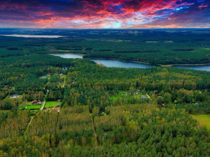 dom przy lesie jerutki img (1)