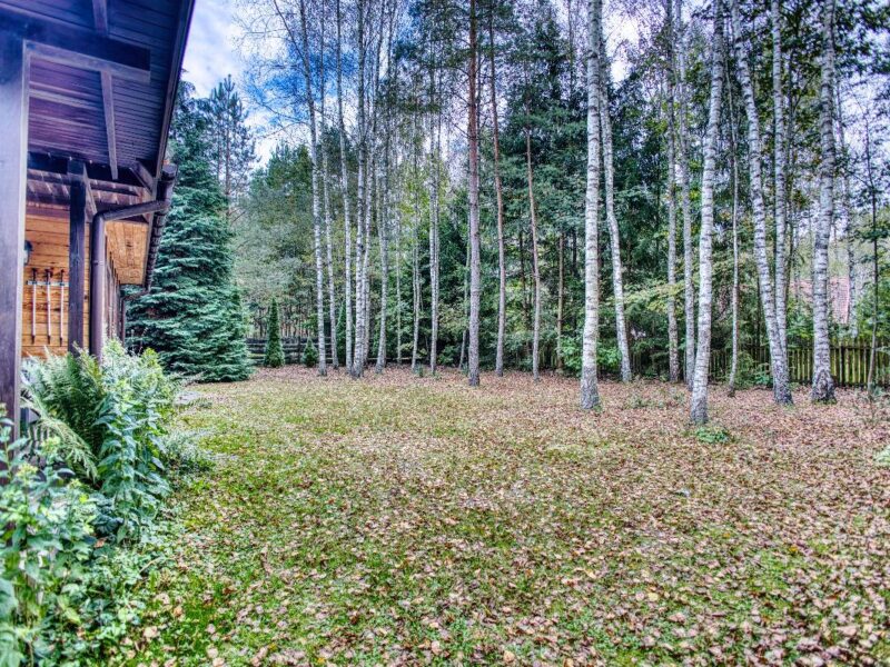 dom przy lesie jerutki img (19)