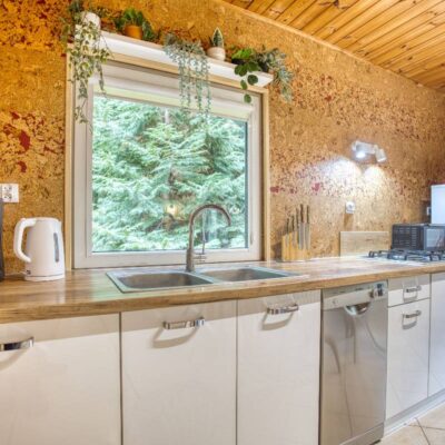 dom przy lesie jerutki img (3)