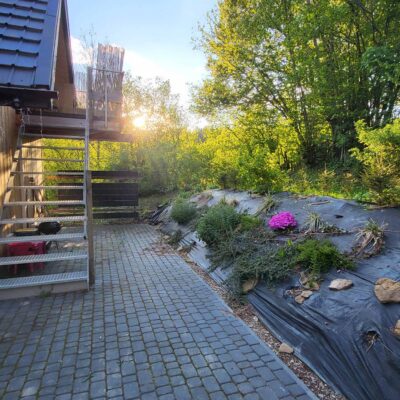 lesny dzban apartament img 2026 (2)