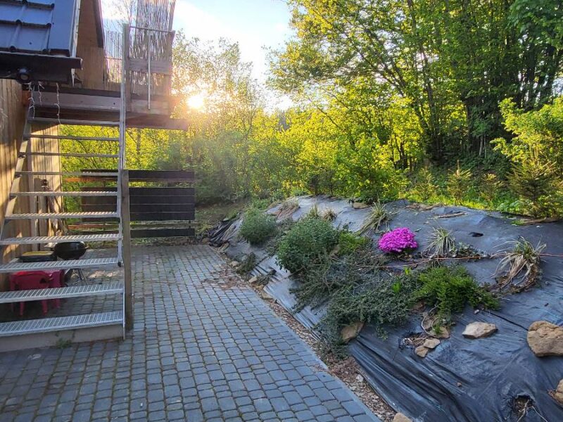 lesny dzban apartament img 2026 (2)