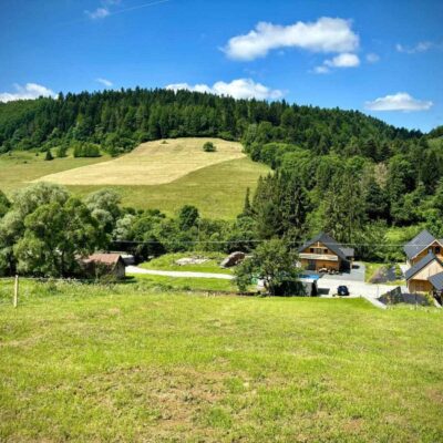 lesny dzban jarzebina 2026 img (1)