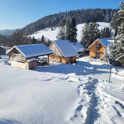 lesny dzban jarzebina 2026 img (5)