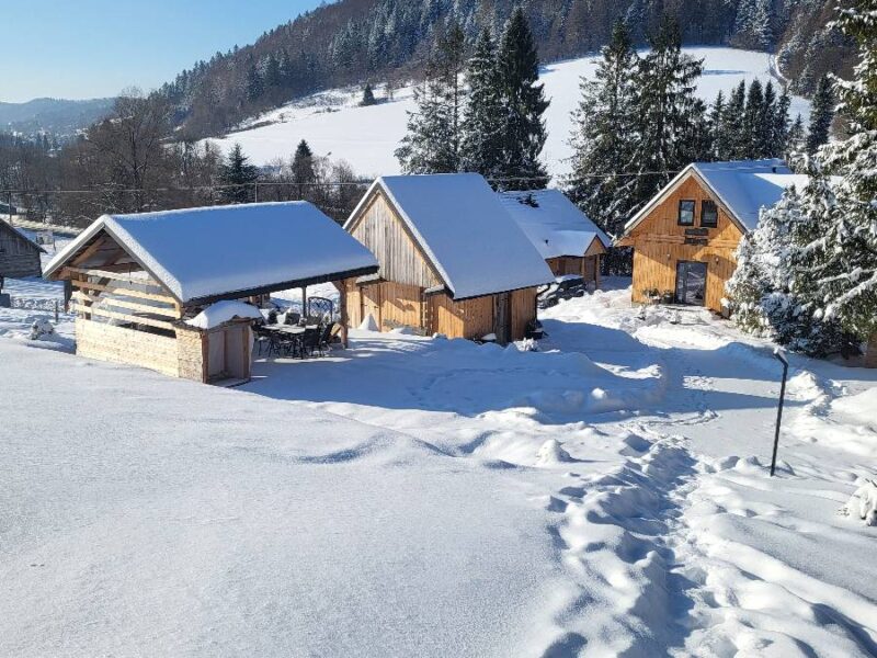 lesny dzban jarzebina 2026 img (5)