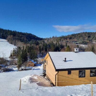 lesny dzban poziomka 2026 img (1)