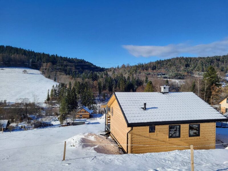 lesny dzban poziomka 2026 img (1)