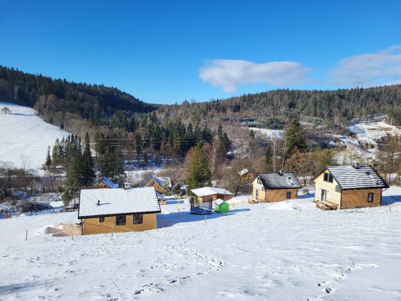 lesny dzban poziomka 2026 img (2)