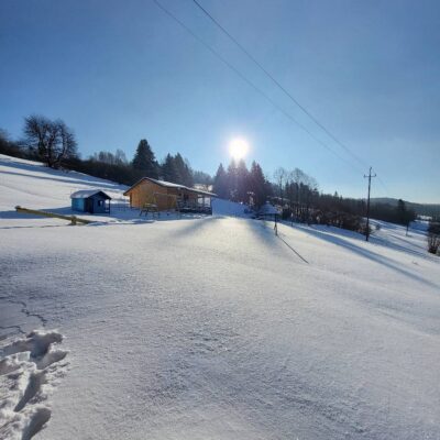 lesny dzban poziomka 2026 img (5)