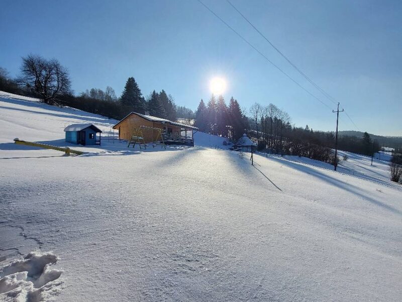 lesny dzban poziomka 2026 img (5)