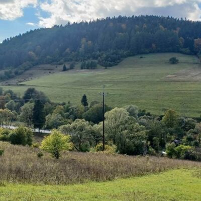 lesny dzban poziomka 2026 img (6)