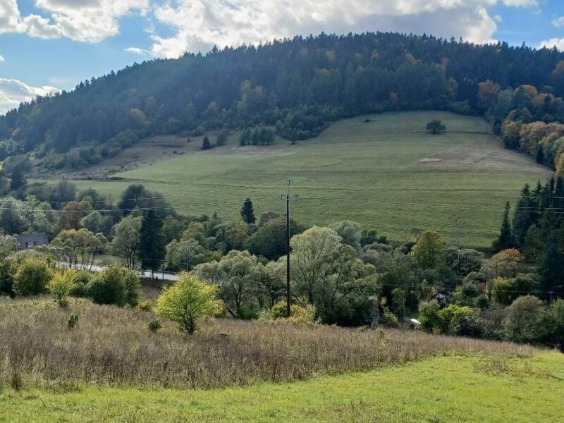 lesny dzban poziomka 2026 img (6)