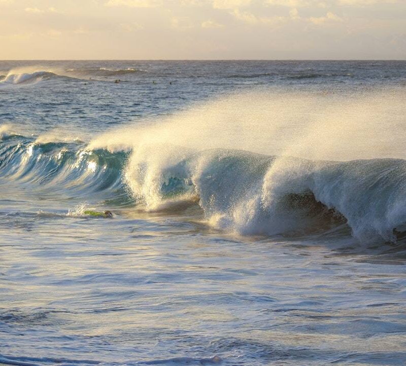 Wynajem domków letniskowych nad morzem - idealne wakacje 14 noclegownia baltyk img 1