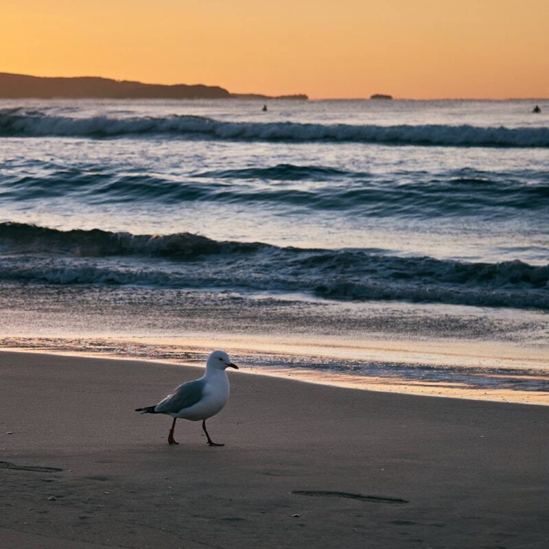 Najlepsze miejsca na wakacje nad morzem 16 noclegownia baltyk img 5
