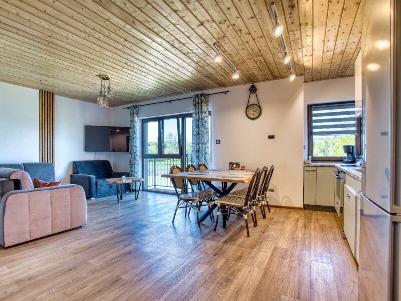 przystan nad sanem 2025 img (2)