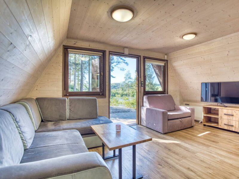 przystan nad sanem 2025 img (22)