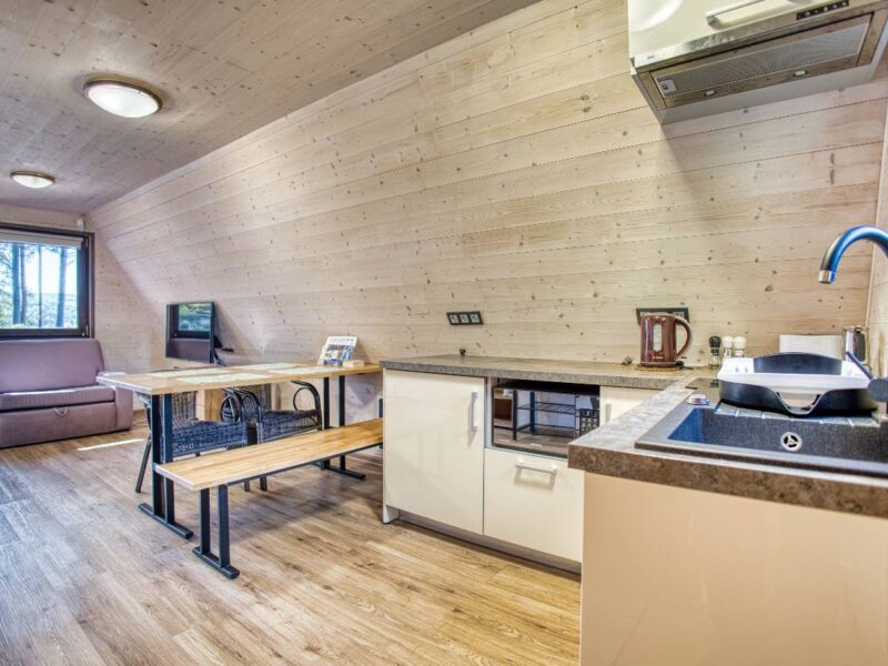 przystan nad sanem 2025 img (23)