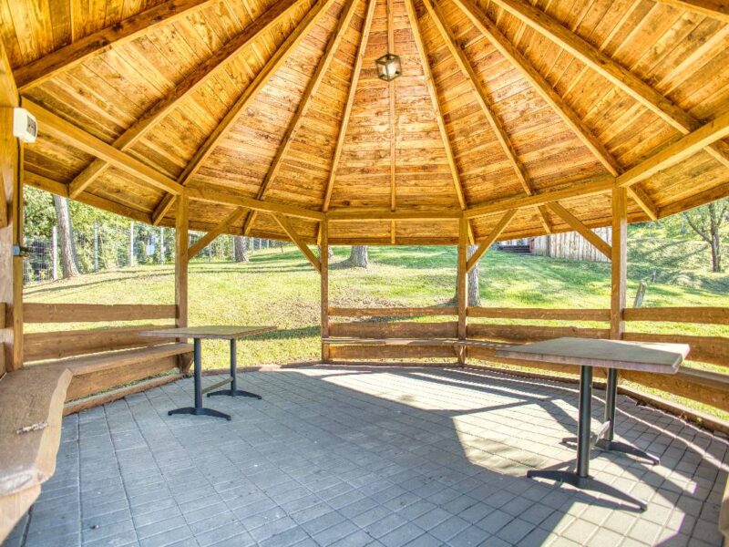 przystan nad sanem 2025 img (38)