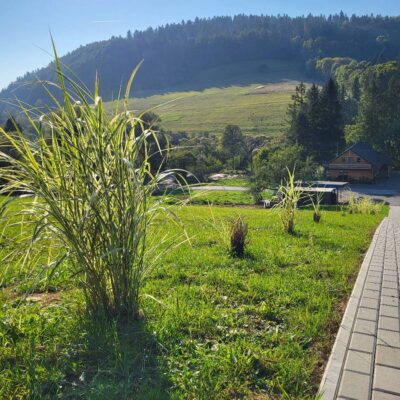 sauna i balia lesny dzban 2026 img (3)