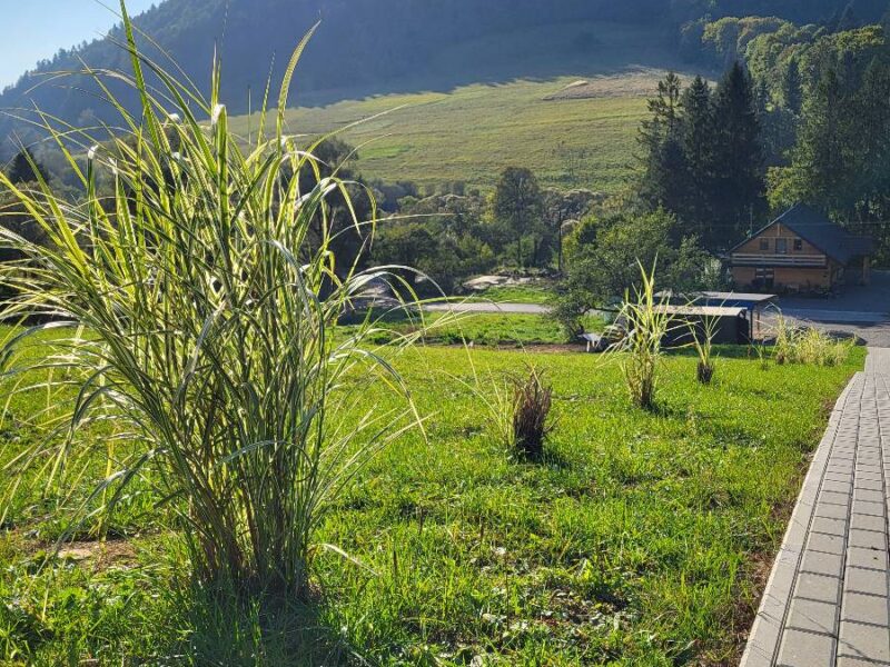 sauna i balia lesny dzban 2026 img (3)