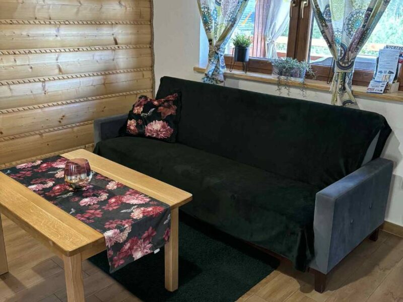 bieszczadzki bohater domki 2026 img (17)