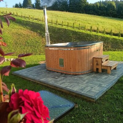 bieszczadzki bohater domki 2026 img (2)