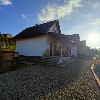 bieszczadzki bohater domki 2026 img (5)