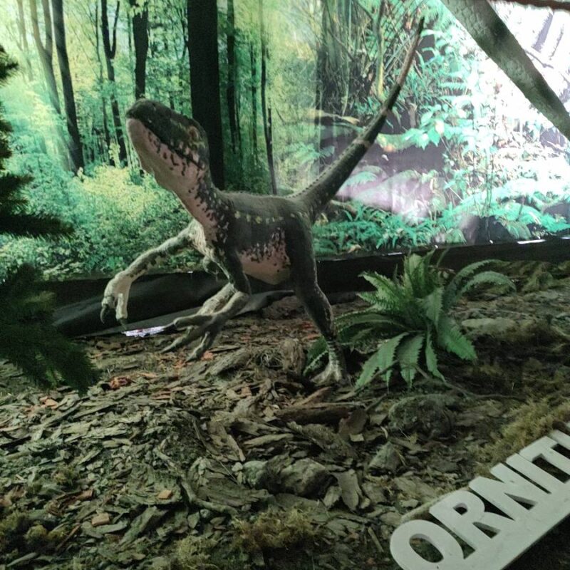 Park Dinozaurów w Solinie – Jaskinia Prehistorii: Fascynująca podróż przez ery gigantów 48 domki w solinie przy zaporze dinozaury img 16