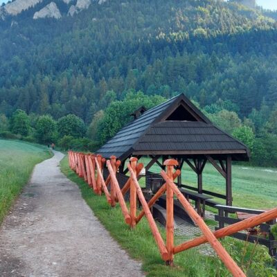 Domki Widokówka 9 Domki Widokowka szarotka modrzew img 2