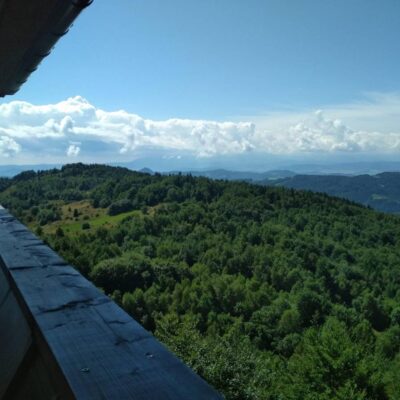 Domki Widokówka 11 Domki Widokowka szarotka modrzew img 3