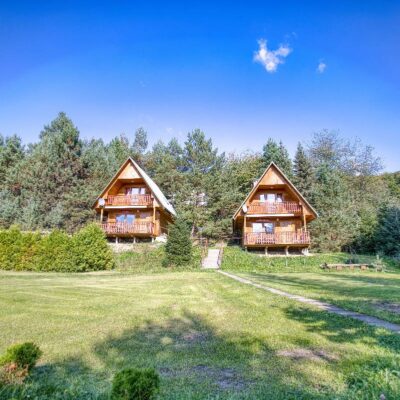 sosnowa aleja 2025 img (1)