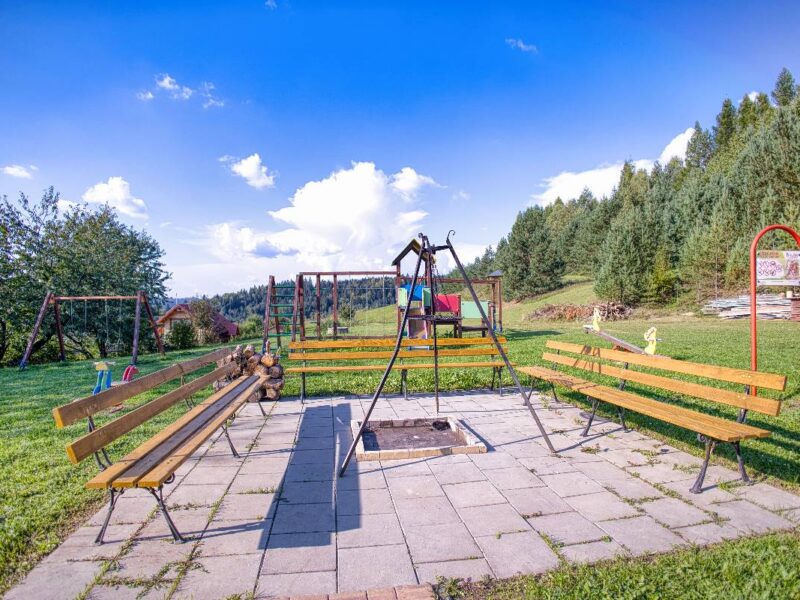 sosnowa aleja 2025 img (1)