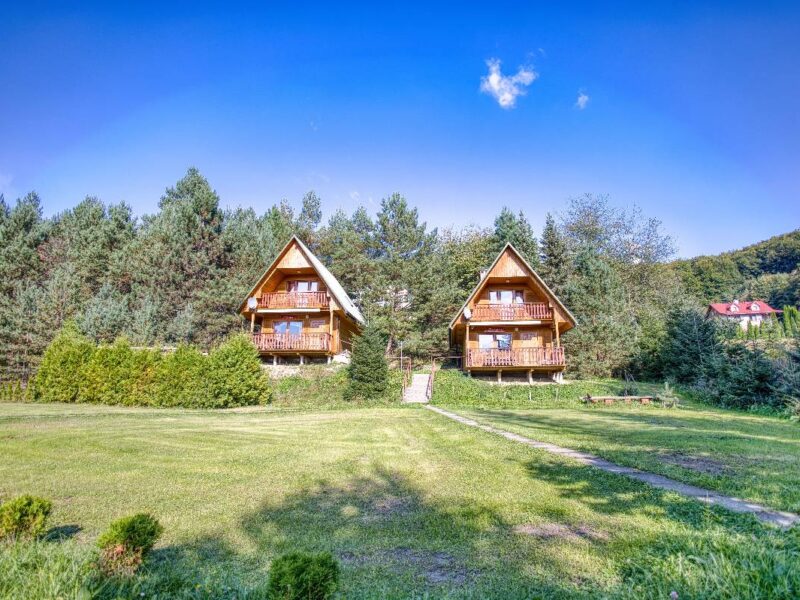 sosnowa aleja 2025 img (1)