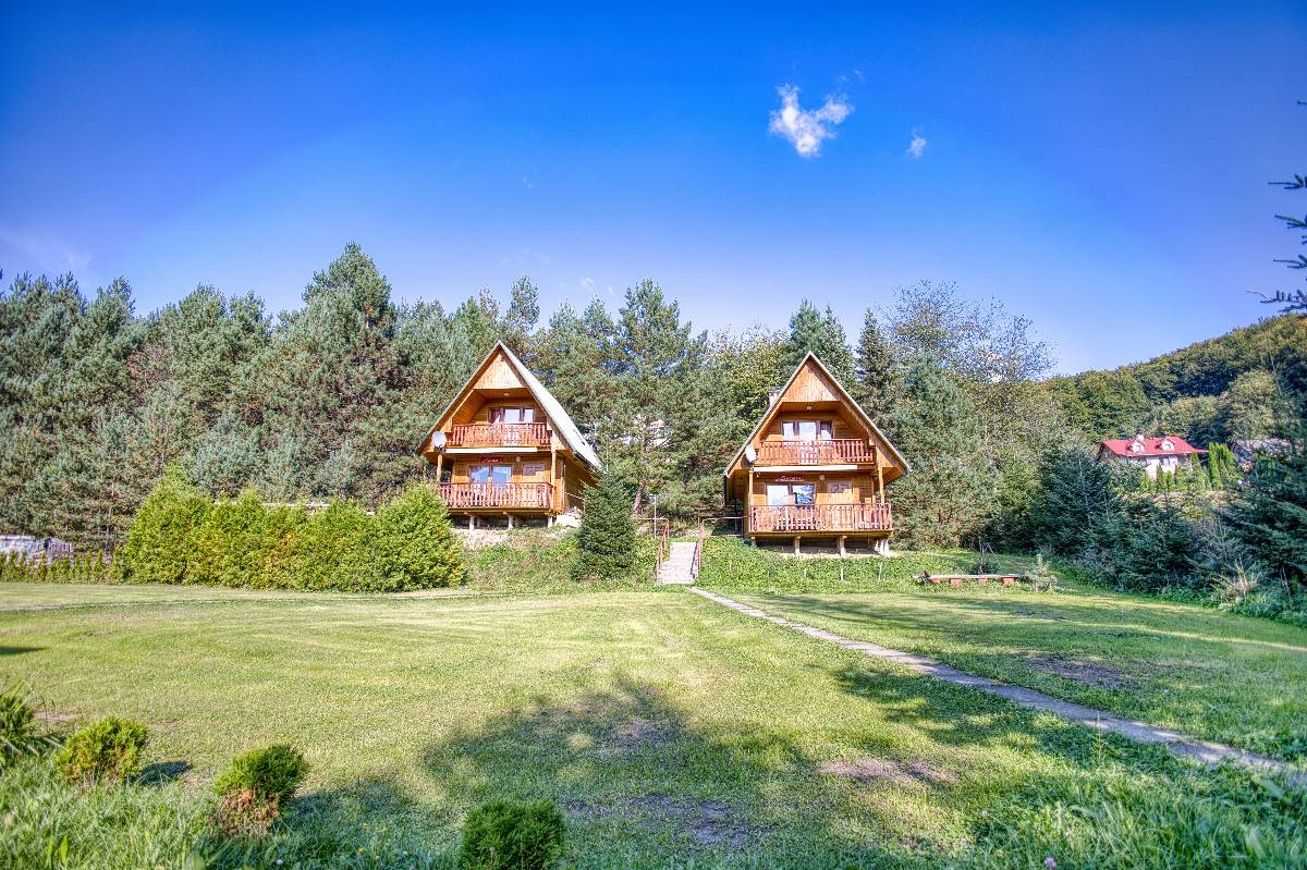 sosnowa aleja 2025 img (1)