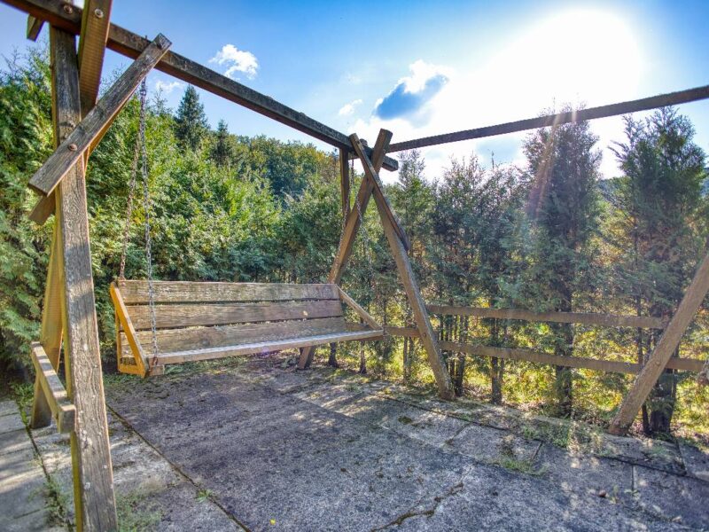 sosnowa aleja 2025 img (10)