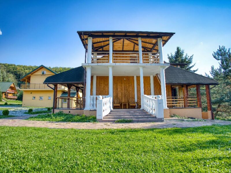 sosnowa aleja 2025 img (12)