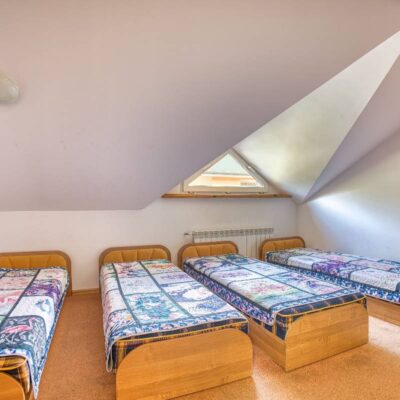 sosnowa aleja 2025 img (15)