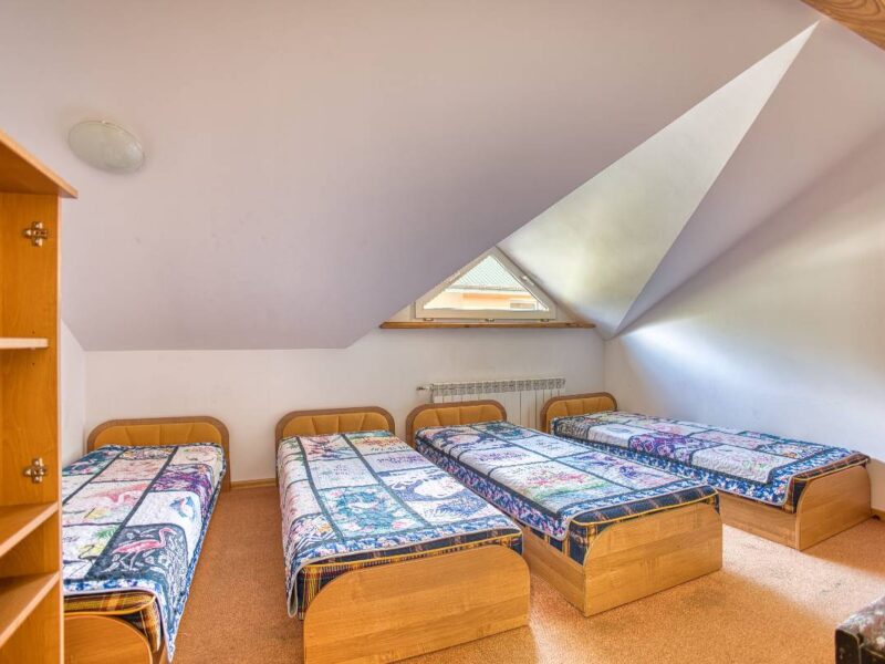 sosnowa aleja 2025 img (15)