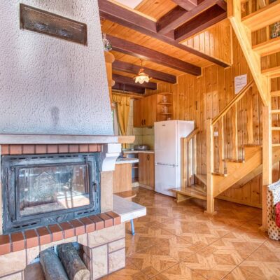 sosnowa aleja 2025 img (4)