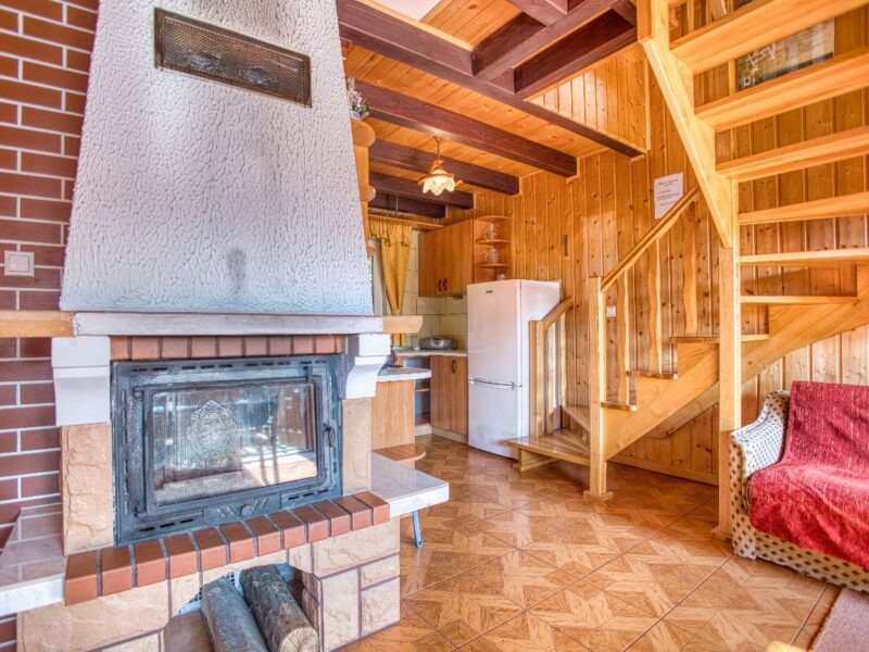 sosnowa aleja 2025 img (4)