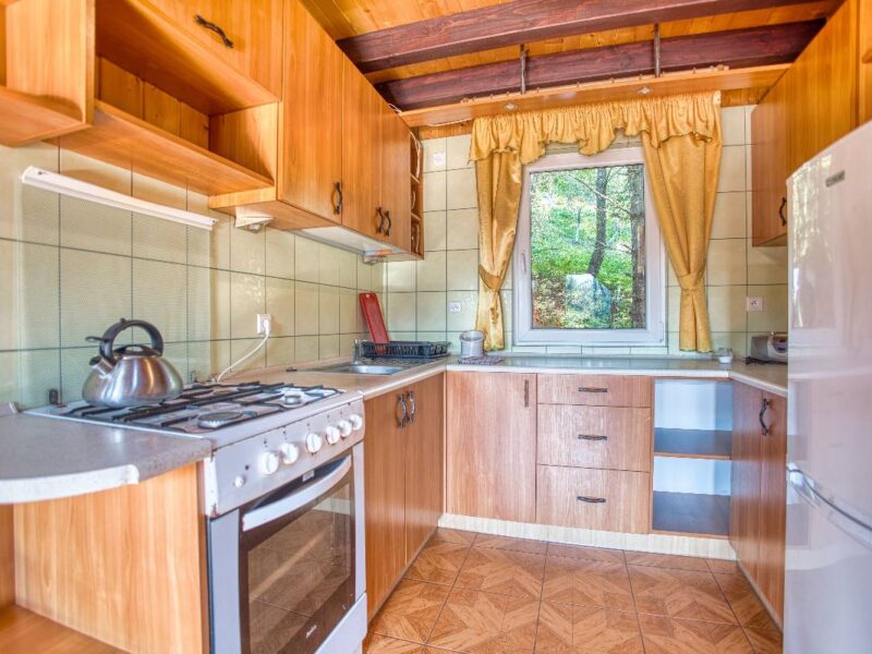 sosnowa aleja 2025 img (5)