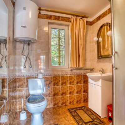 sosnowa aleja 2025 img (7)