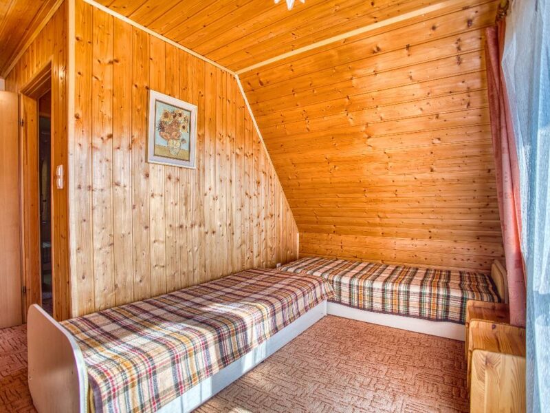 sosnowa aleja 2025 img (8)