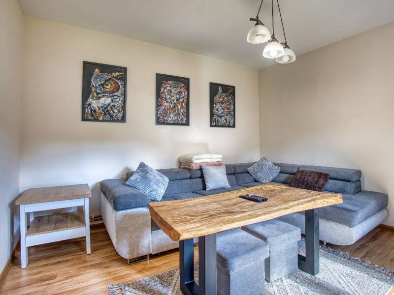 chata pod wyciągiem wańkowa img2025 (15)