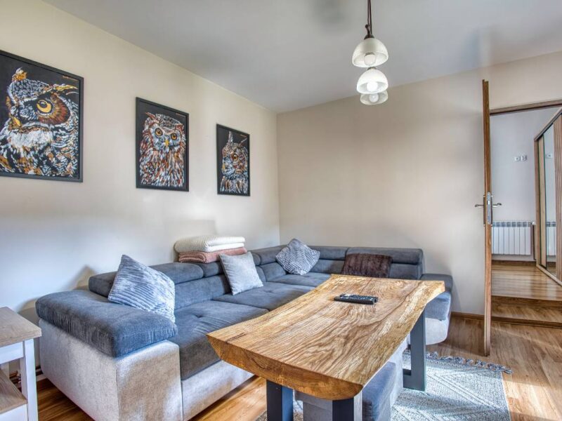 chata pod wyciągiem wańkowa img2025 (7)