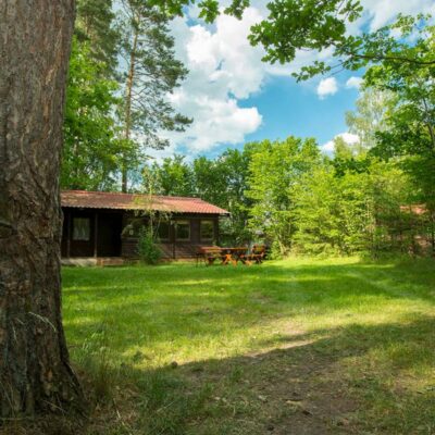 koziello domki orzyny las img 1