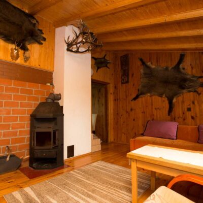 koziello domki orzyny wies img 4