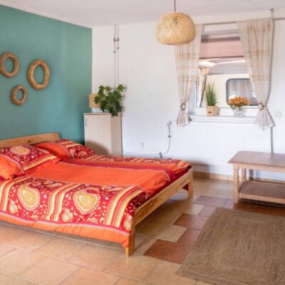 AgroAlpaka 19 agroalapaka studio na parterze img 2