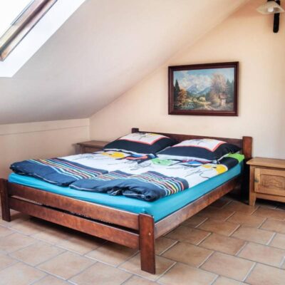 AgroAlpaka 24 agroalpaka studio na pietrze img 1