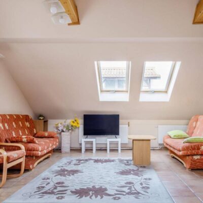 AgroAlpaka 28 agroalpaka studio na pietrze img 5