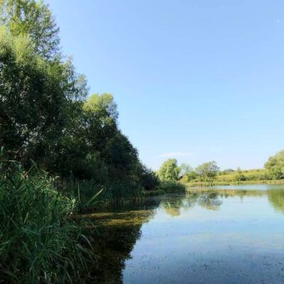 domki na mazurskim wzgorzu domek caloroczny img 11